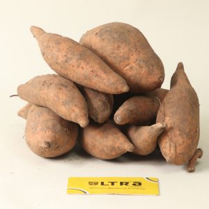 Orange fleshed sweet potatoes