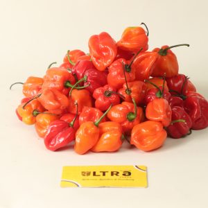 Red super habanero