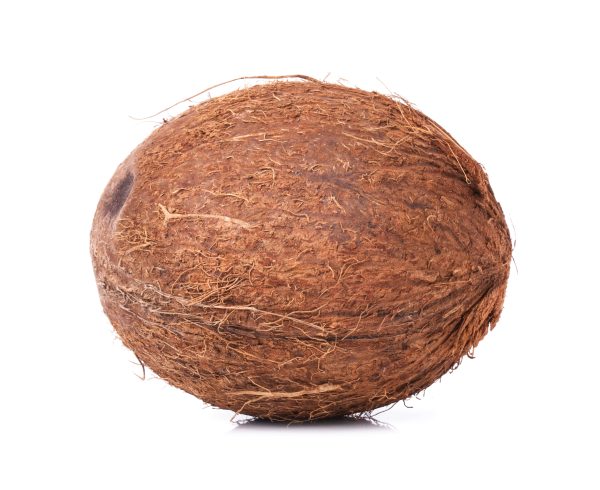 Coconut