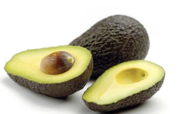 Avocado ( A pack of 5)